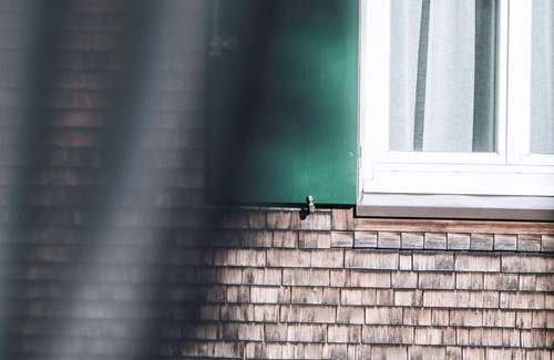 Mellau Apartment | Single room - Guesthouse Apartments Lässer