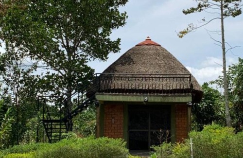 Mpigi Apartment | Single Room - Mpanga Nature Center