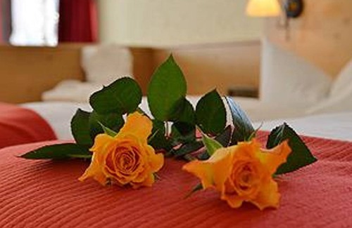 Hirschegg House | Single room Superior EZ SP HH "15" - Hotel Garni Adler
