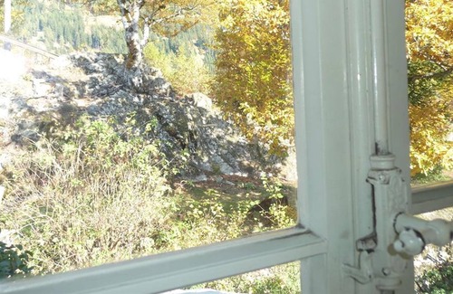 Reisseck Cottage | Single room with shower/toilet, satellite/tv - Herkuleshof am Danielsberg