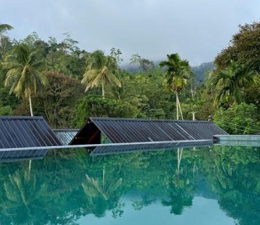 Kotapola Cabin | Sinharaja Forest Sanctuary