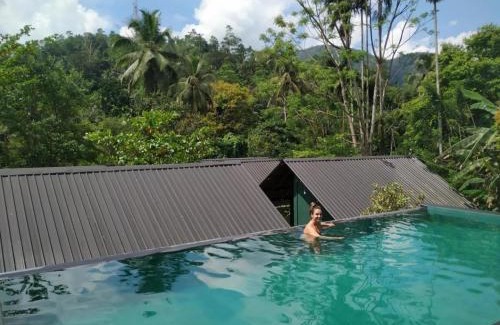 Kotapola Cabin | Sinharaja Forest Sanctuary