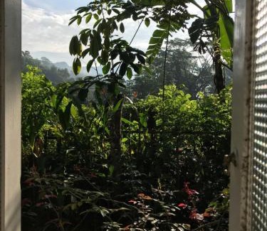 Kotapola House | Sinharaja Tranquil Homestay