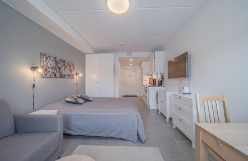 Sirkka Apartment | Sisu Stay Studio Jetset Levi