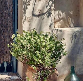 Canyelles House | Sitges Hill Retreats-Masia Nur 22 bedrooms divided over 9 houses for max 44 guests