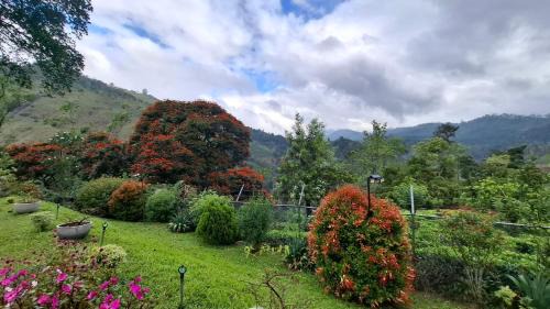 Hali-Ela Villa | Sithara Estate Bungalow