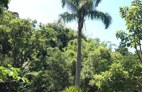 Morro Reuter House | Sitio Holistico Natureza Sanadora