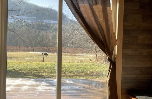 Ashland House | Ski retreat near Hunter and Windham. Mountain views! Family and pet friendly!