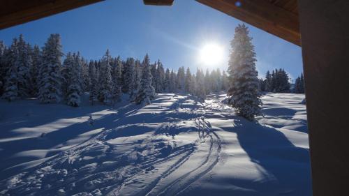 Hochkrimml Apartment | Skihütte Lang