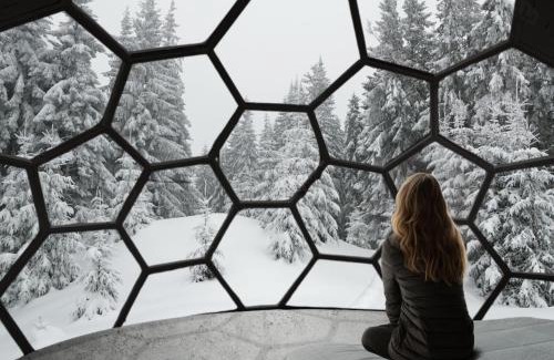 Risogrund Cabin | SKOG - Aurora Igloos Resort
