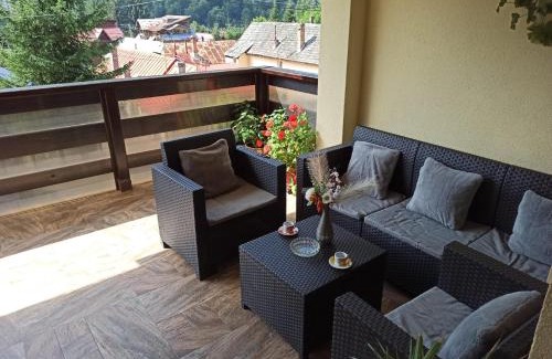 Azuga House | Skyline Villa