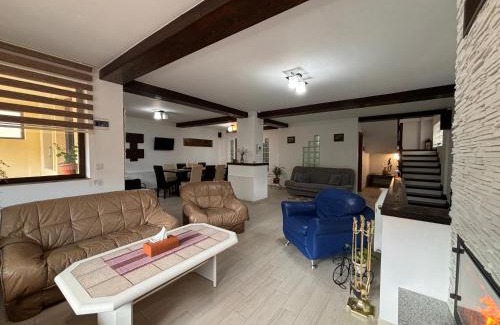 Azuga House | Skyline Villa