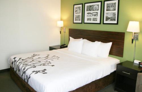 Stony Creek Hotel | Sleep Inn & Suites Stony Creek - Petersburg South