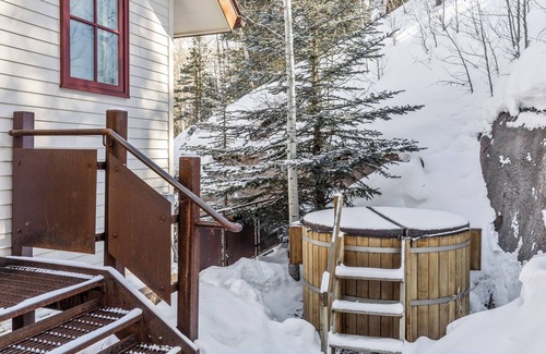 Telluride Condo | Slopeside 3 Bedroom River House (B)