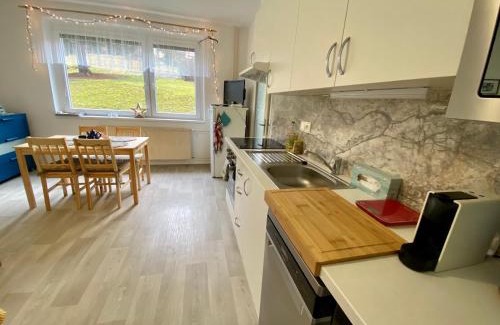 Tanvald Apartment | Slunný byt v Jizerských horách 5 postelí