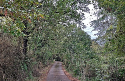 Saint-Antonin Noble Val House | Small 2/4 person gite with swimming pool to share with the large gite