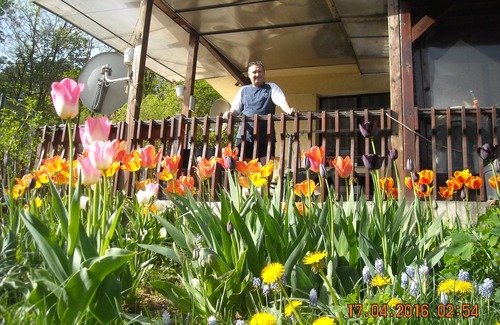 Vitosha District House | Small Beutiful House With Separate Entrance In The Outskirts Of Vitosha Mountain