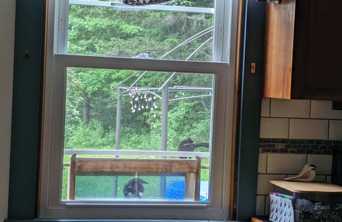 Cavendish House | Small Vermont House perfect for Leaf & Ski Season!