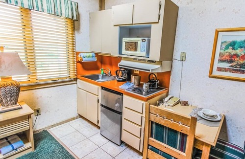 Banner Elk Apartment | Smoketree Lodge