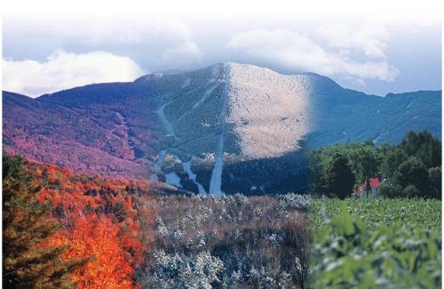 Jeffersonville Apartment | Smugglers' Notch Resort Private Suites