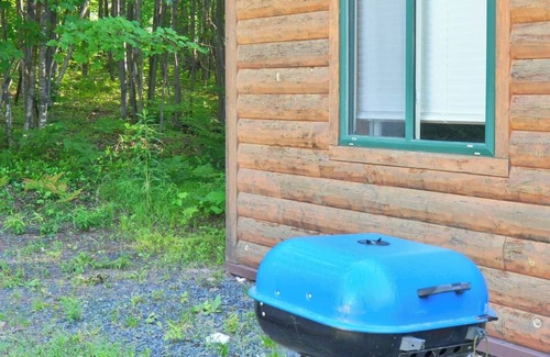 Washburn Cabin | Snowmobile, Ski, or ATV Direct from This Cozy Cabin!