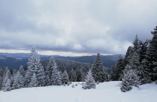 Pamporovo Apartment | Snowy dreams Pamporovo