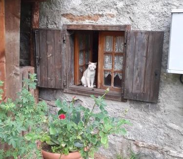 Temu Apartment | Soggiorno Vacanze Stella Alpina