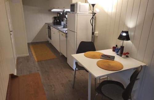 Saltstraumen Apartment | Sokkelleilighet rett ved Saltstraumen