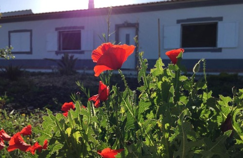 Albufeira House | Solar da Cotovia