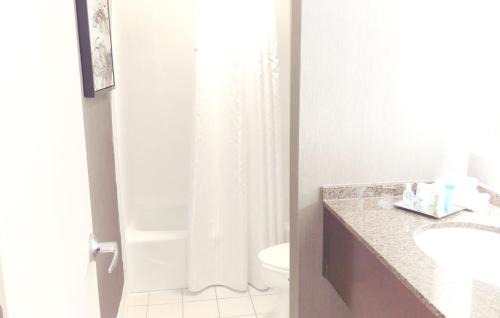 Atlanta Hotel | Sonesta Atlanta Northwest Galleria - Marietta