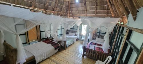 Kasese Resort | Songbird Safari Lodge & Campsite