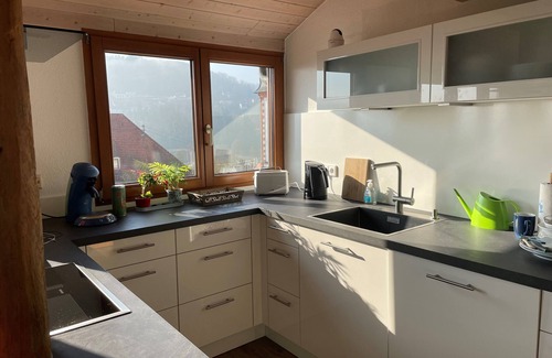 Mortelstein Apartment | Sonniges Apartment am Alten Binauer Schloss -malerischer Ausblick auf den Neckar
