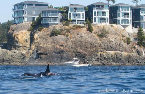 Sooke Resort | SookePoint Ocean Cottage Resort