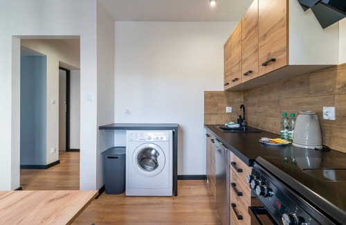 Sosnowiec Apartment | Sosnowiec City Centre Apartment