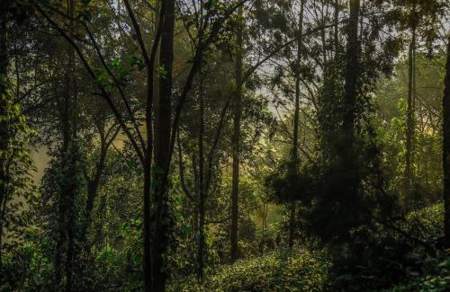 Udumbanchola Resort | Southern Panorama Indriya Resorts & Spa