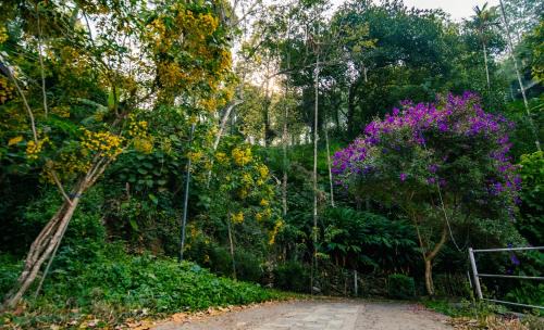 Udumbanchola Resort | Southern Panorama Indriya Resorts & Spa