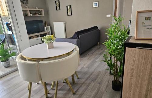 Digne-les-Bains Apartment | Souvenirs de Provence T2 avec vue et logia toutes commodités idéal curistes