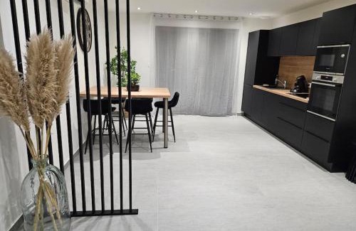 Bar-le-Duc Apartment | Spa des ducs loft 2