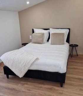 Bar-le-Duc Apartment | Spa des ducs loft 2