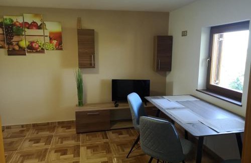 Ludbreg Villa | Spa Villa Ana