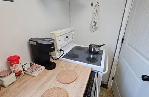 Wallaceburg Apartment | Spacious 2 bed Studio Apartment in Downtown