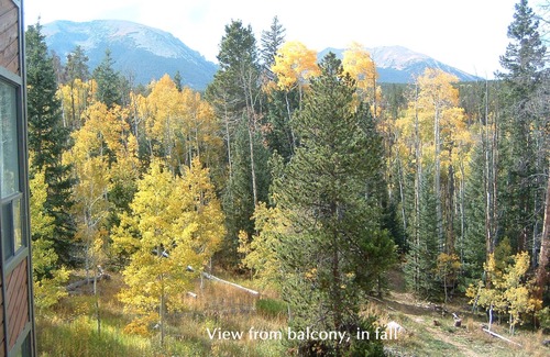 Wildernest Condo | Spacious 2-Bedroom Condo In Summit County, Close To 4 Major Ski Areas.