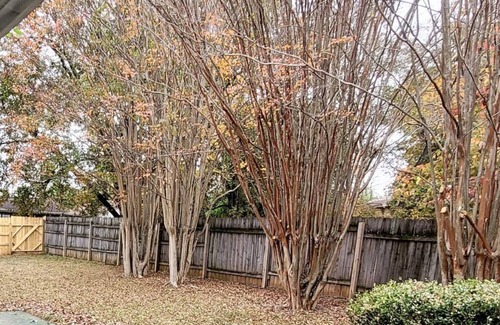 Huntsville House | Spacious 3bd with king, 2 living areas and fenced yard