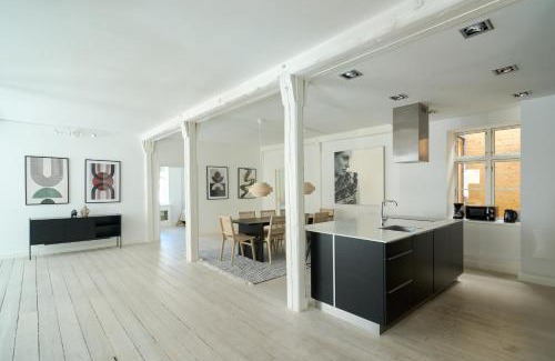 Copenhagen City Centre Apartment | Spacious Apartment Centrally Located in CPH's Old Town