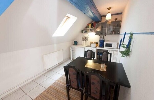 Neudorf House | Spacious exclusive apartment on the 1st floor with a natural pond