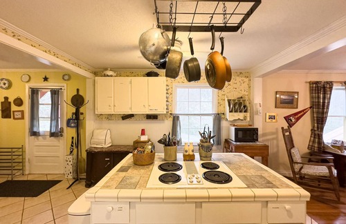 Gerton House | Spacious House, PERFECT Location,17 Miles to Asheville, Pets,View!
