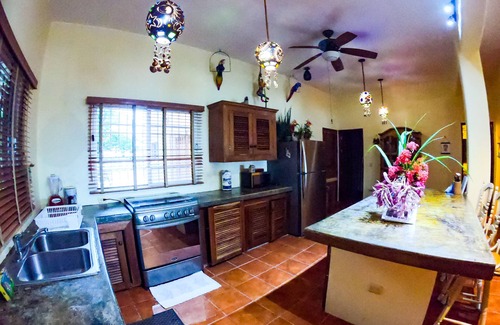 Majahual House | Spacious oceanfront home with palm trees, kayaks and spectacular views!
