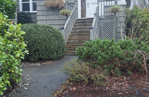 Marpole Apartment | Spacious one bedroom, one bath. Two minute walk from Marine Gateway Station