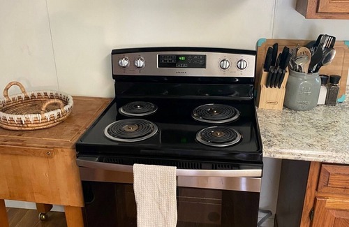Driftwood House | Spacious PA Wilds Getaway! Water views, firepit w/covered patio