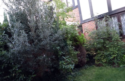 Seven Kings House | spacious room in shared house